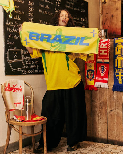 brazil world cup